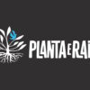 Planta e Raiz